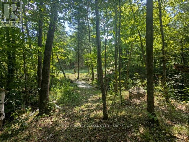 1251 Buckshot Lake Rd, Addington Highlands Addington Highlands, ON K0H 1L0