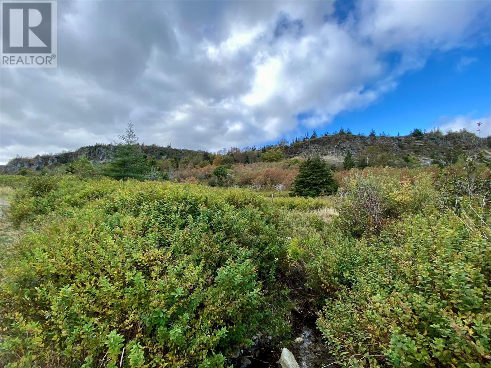 6 Old Rd N #-8, Salmon Cove, NL A0A 3S0