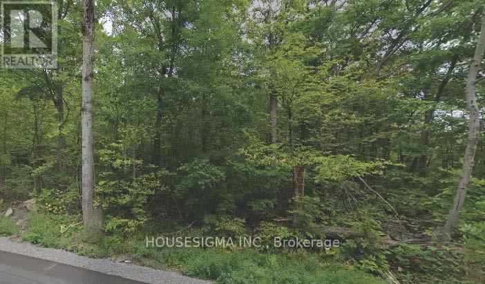 8 Marble Point Rd, Marmora and Lake, ON K0K 2M0