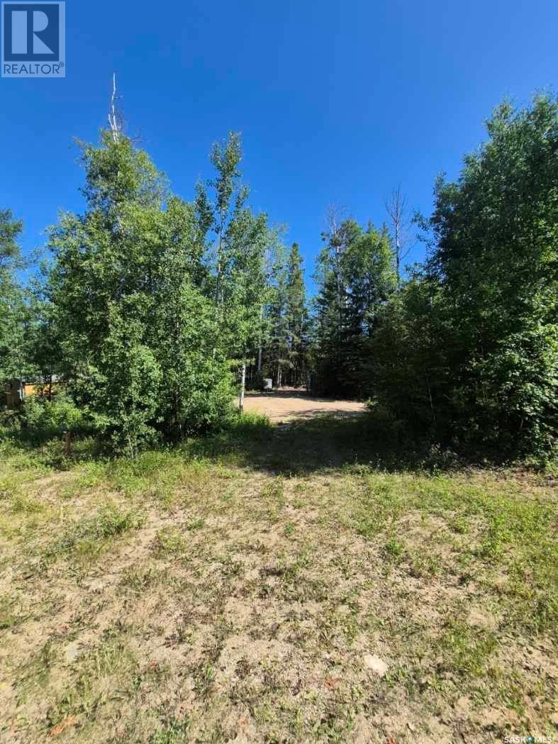 Lot 133 Birchwood Avenue, Canwood Rm No. 494, SK S0J 0Y0