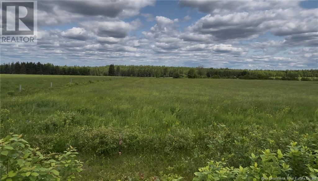 24 Harrington Rd #-5, Steeves Mountain, NB E1G 3X3