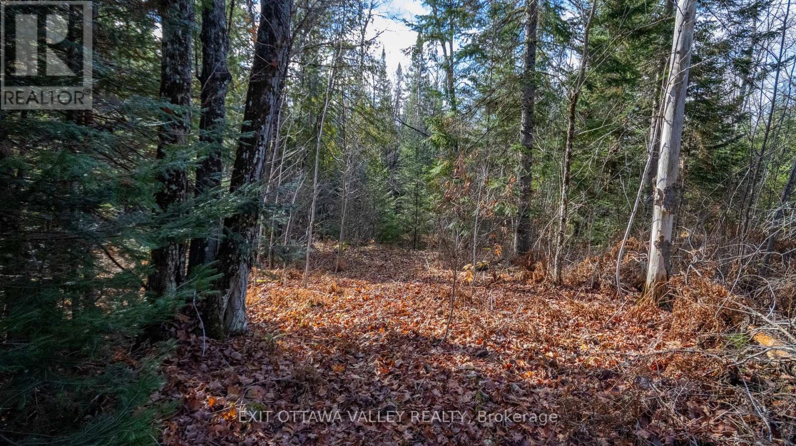 00 Highway 60 Hwy, Madawaska Valley, ON K0J 1B0