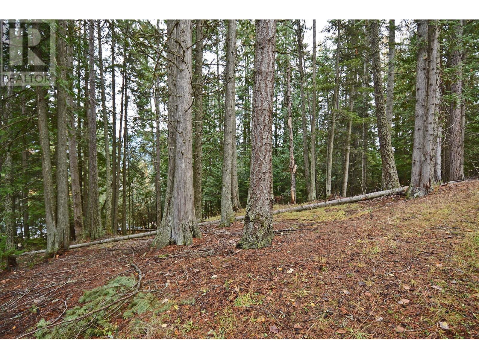 Bedford Road, Nelson, BC V1L 6X7