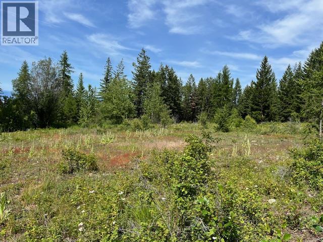 Ruth Road, Kelowna, BC V1W 4C8