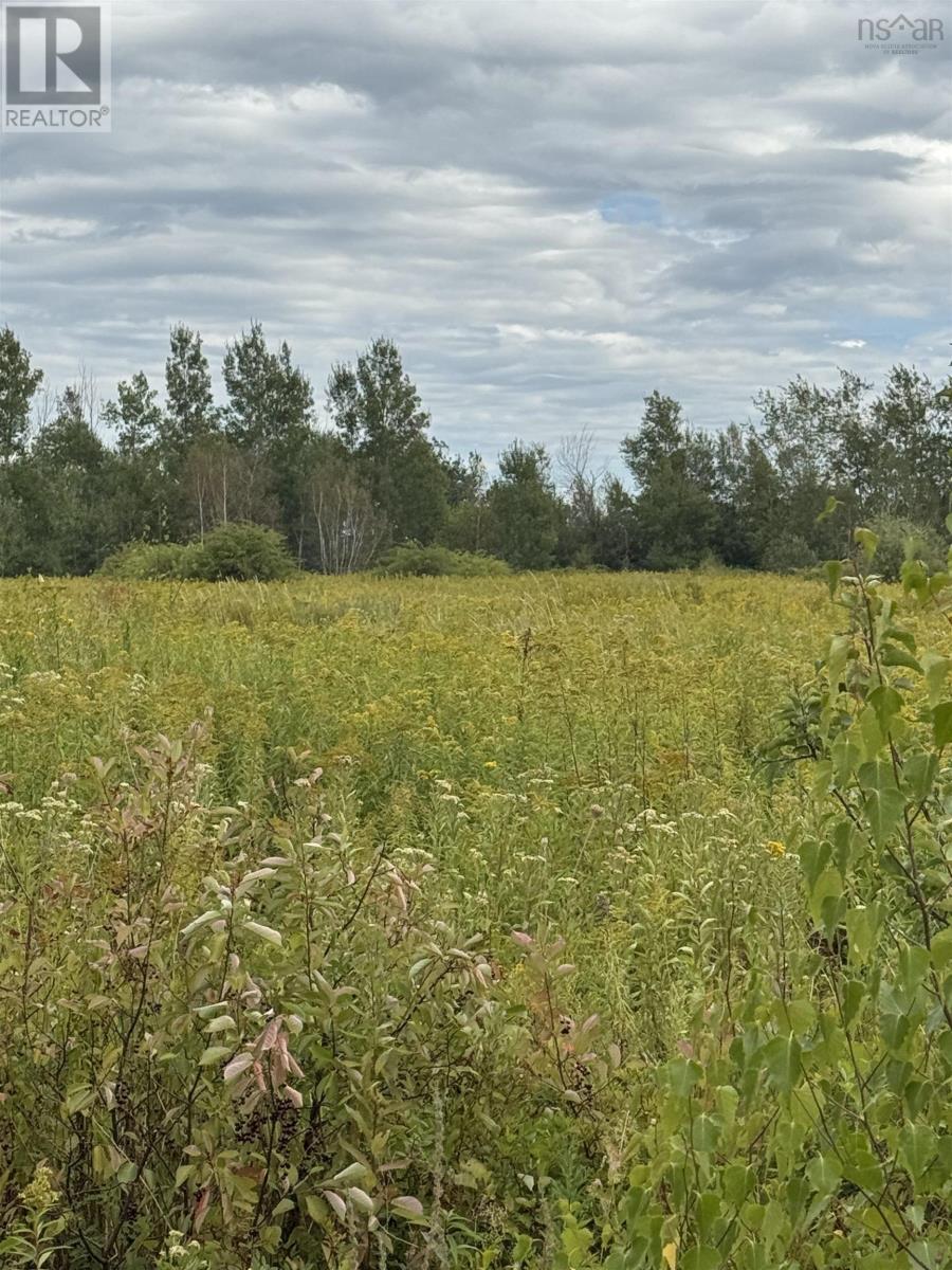 Lot Station Road, Lawrencetown, NS B0S 1M0