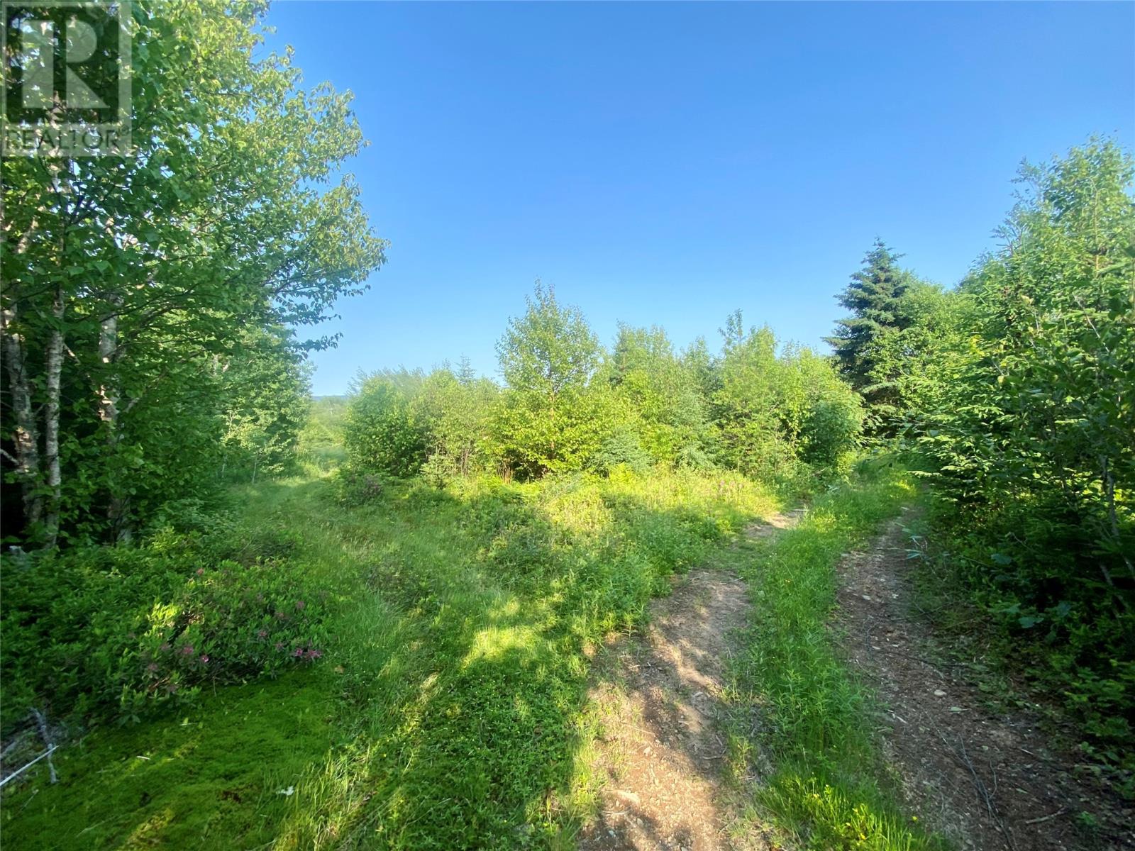 Clarenville, NL homes for sale & real estate listings Houseful