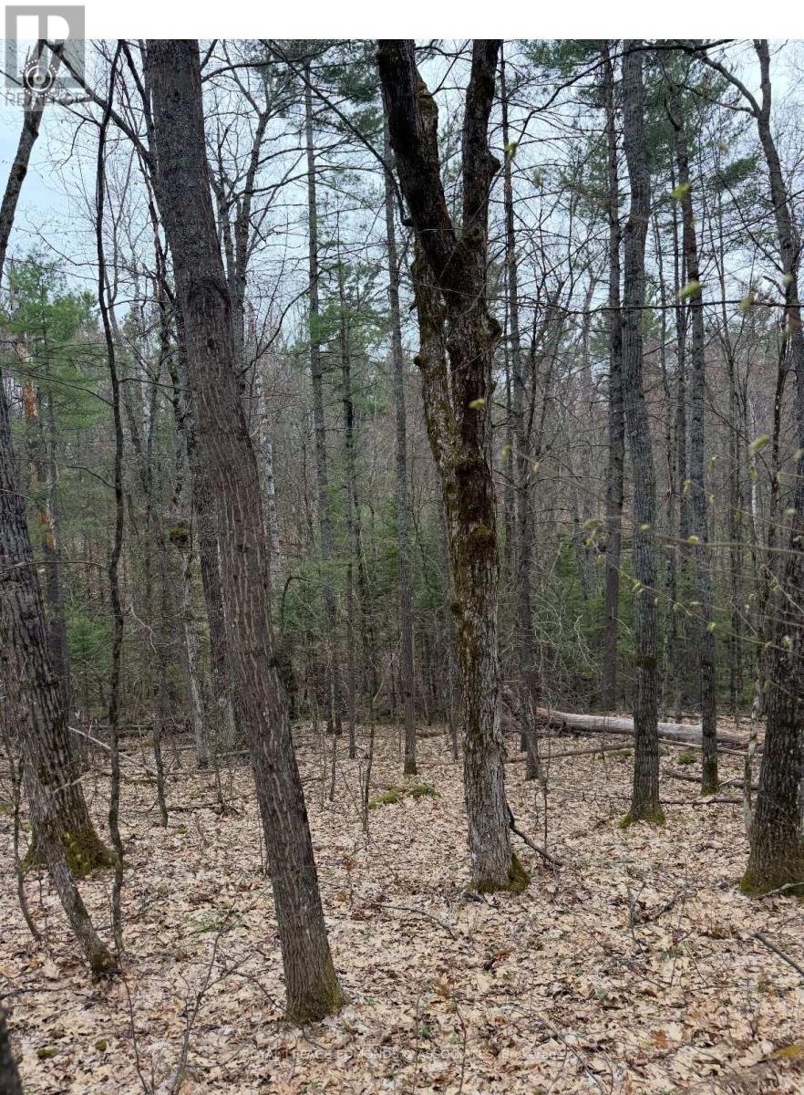 0 Bucholtz Rd, Laurentian Valley, ON K8A 6W8
