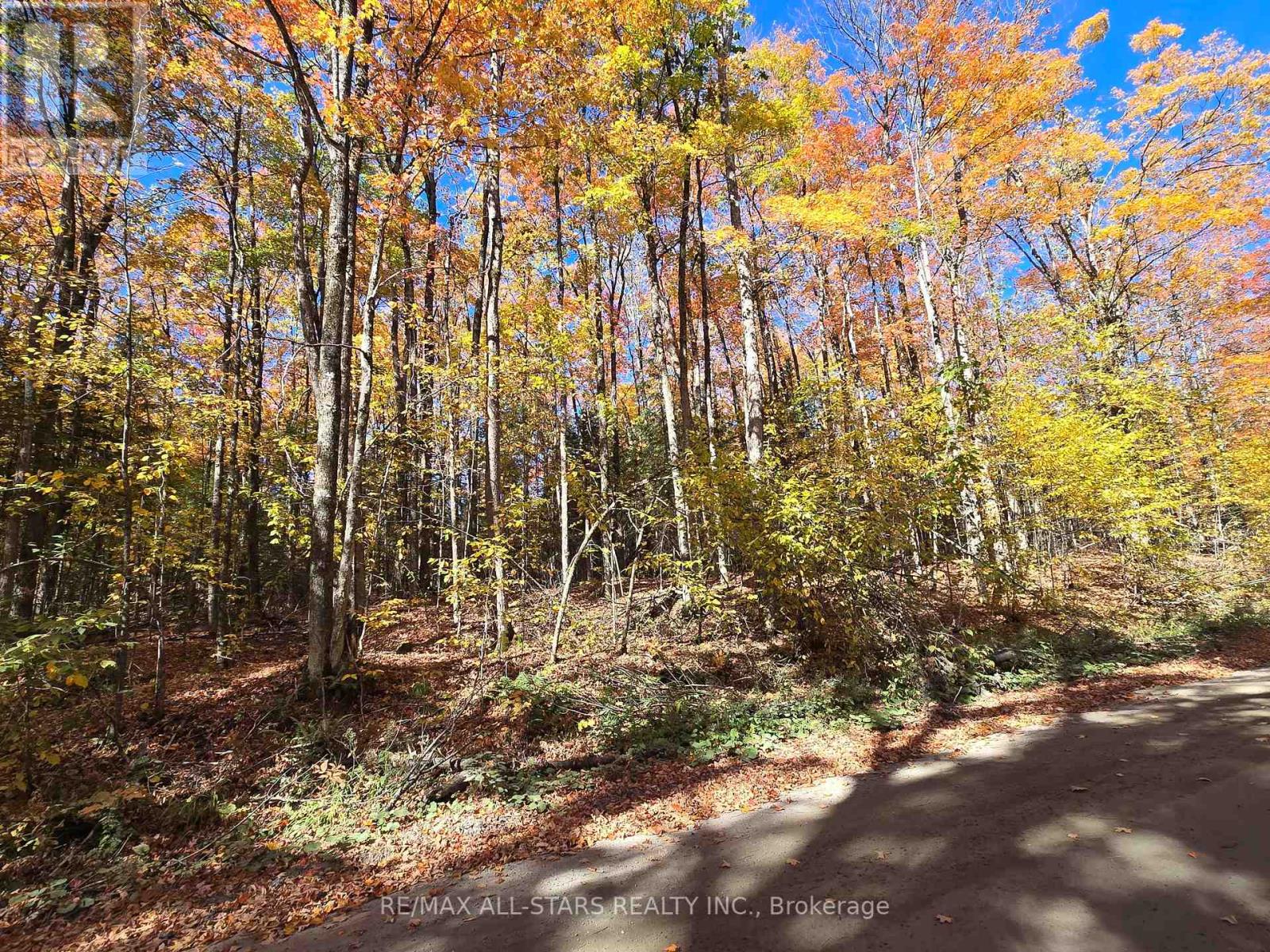 0 Salerno Lake Rd, Highlands East Glamorgan, ON K0M 1X0