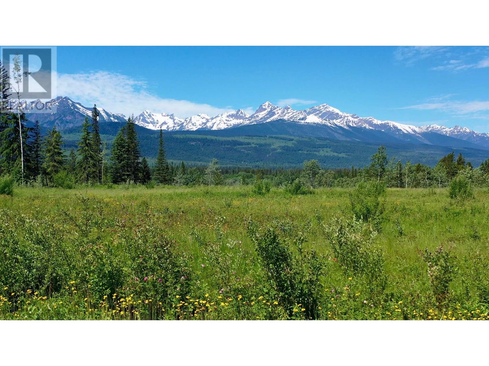 Odwyer Road, Valemount, BC V0E 2Z0