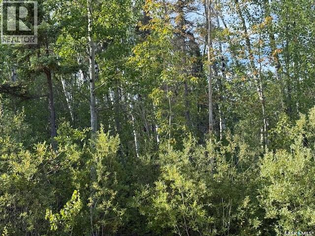 2008 Laronge Ave, La Ronge, SK S0J 1L0