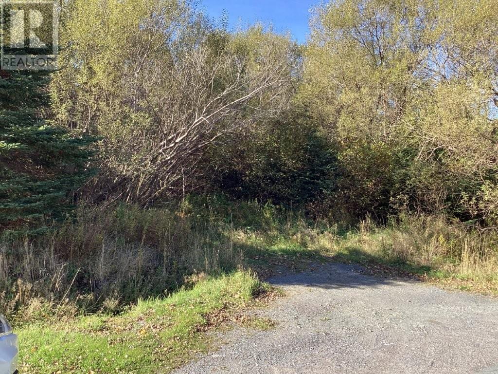 22-28 Parsons Rd, Harbour Grace, NL A0A 2N0