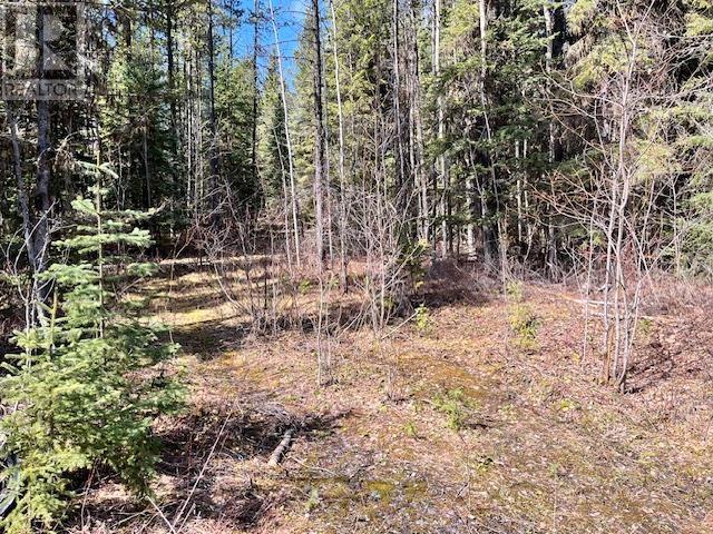 Pollard Road, Quesnel, BC V2J 6X5