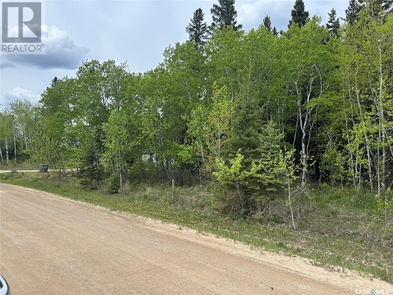 1 George St, Big River, SK S0J 0E0