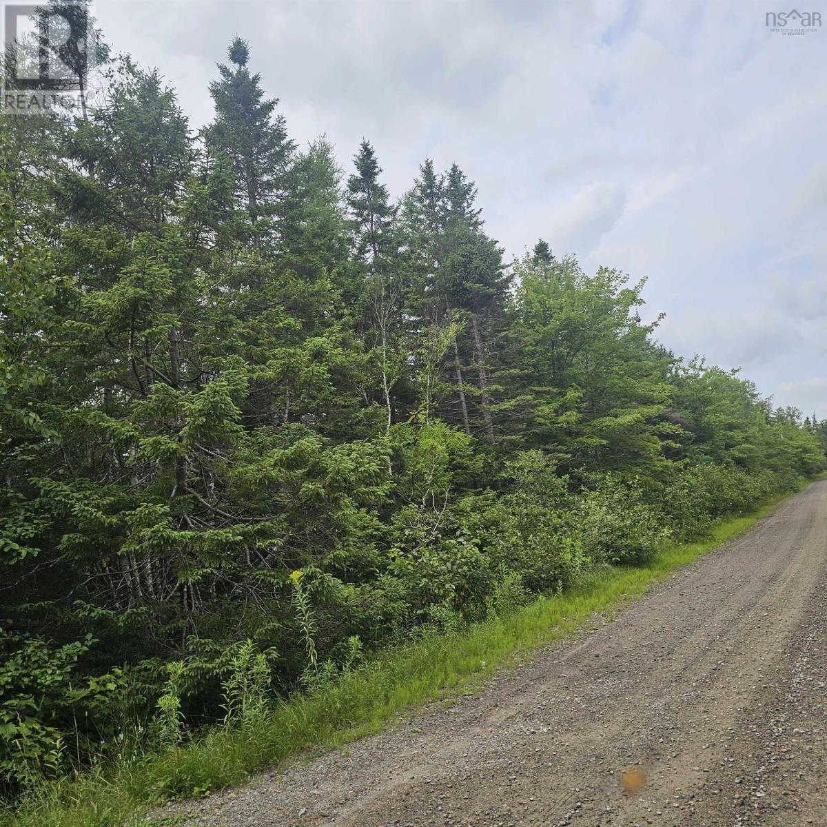 Alder Road, Dutch Brook, NS B1M 1B2