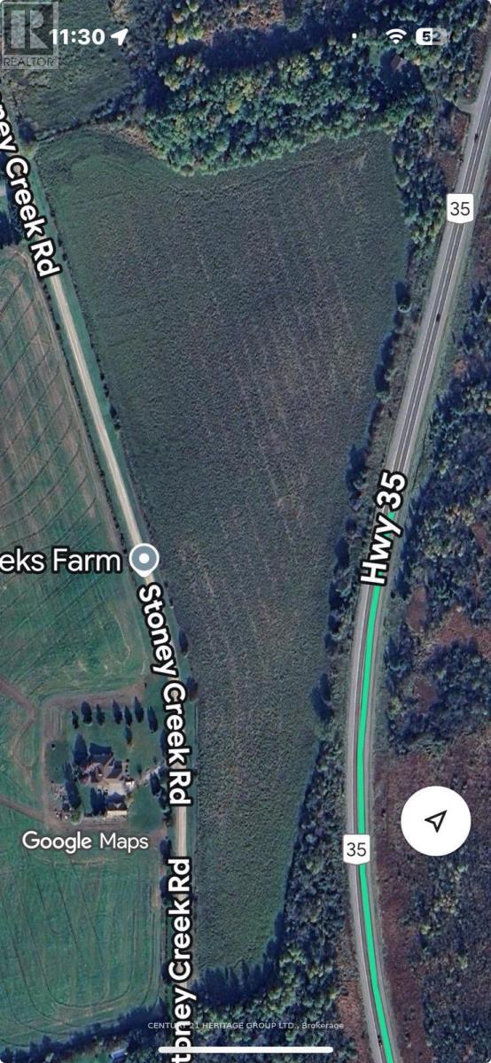 4 Stoney Creek Rd E, Kawartha Lakes Ops, ON K9V 4R4