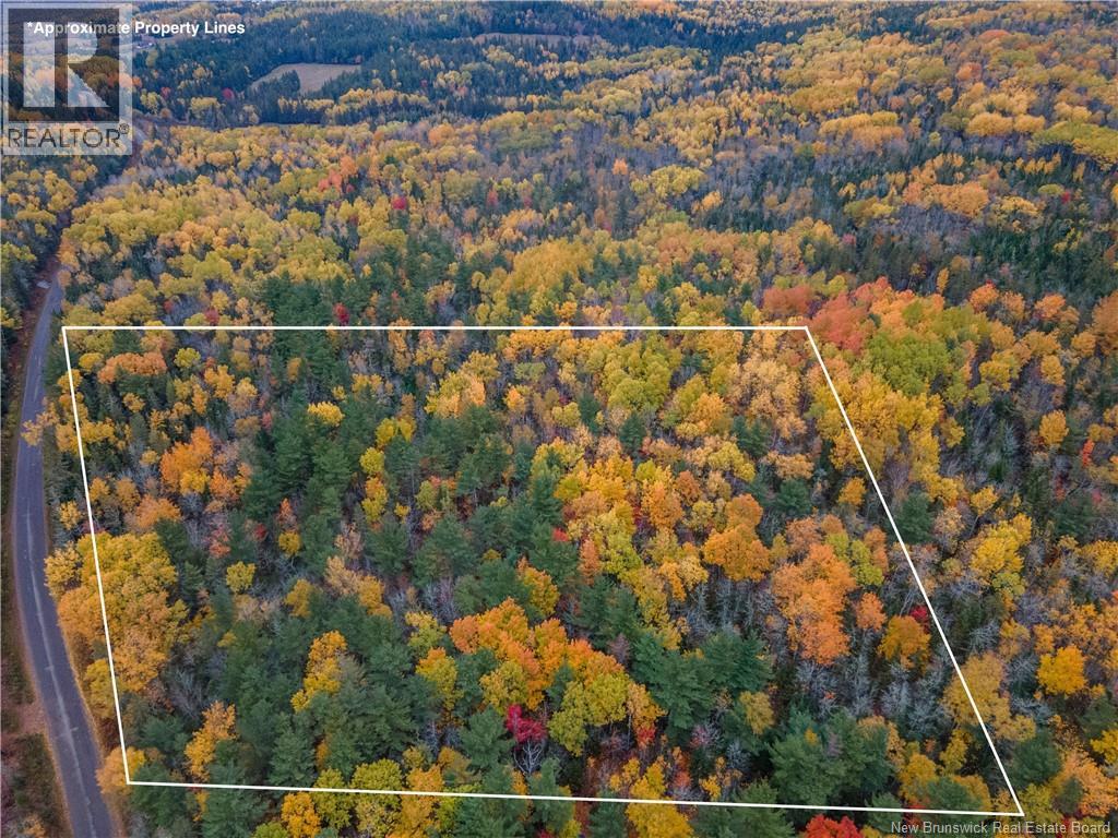 Lot Plumweseep Road, Plumweseep, NB E4G 1Y2