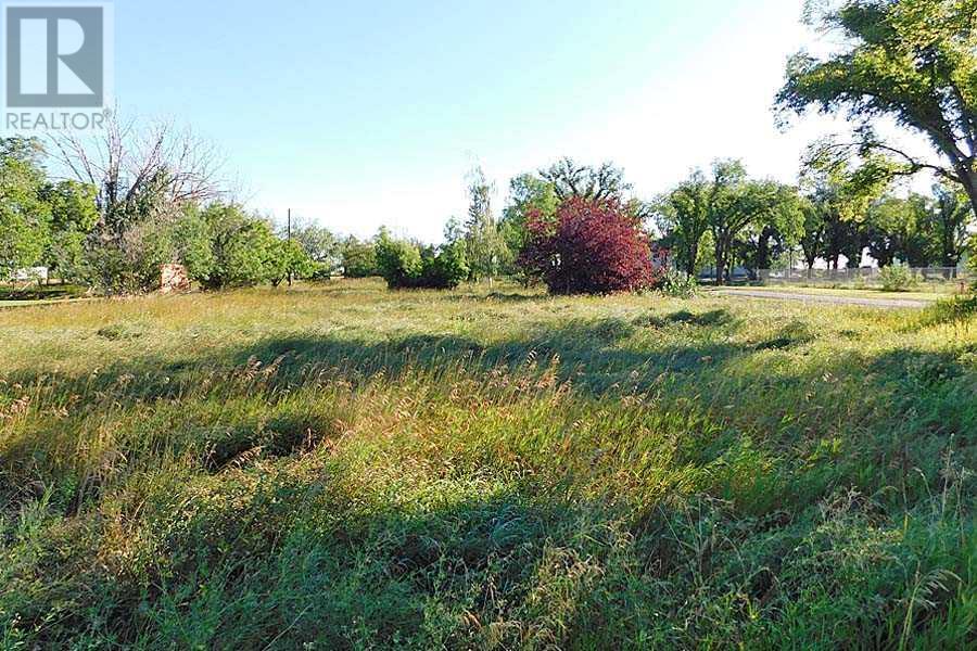 11 Tigermoth Crescent NE Cres, Rural Willow Creek No. 26 M.d. Of, AB T0L 0T0