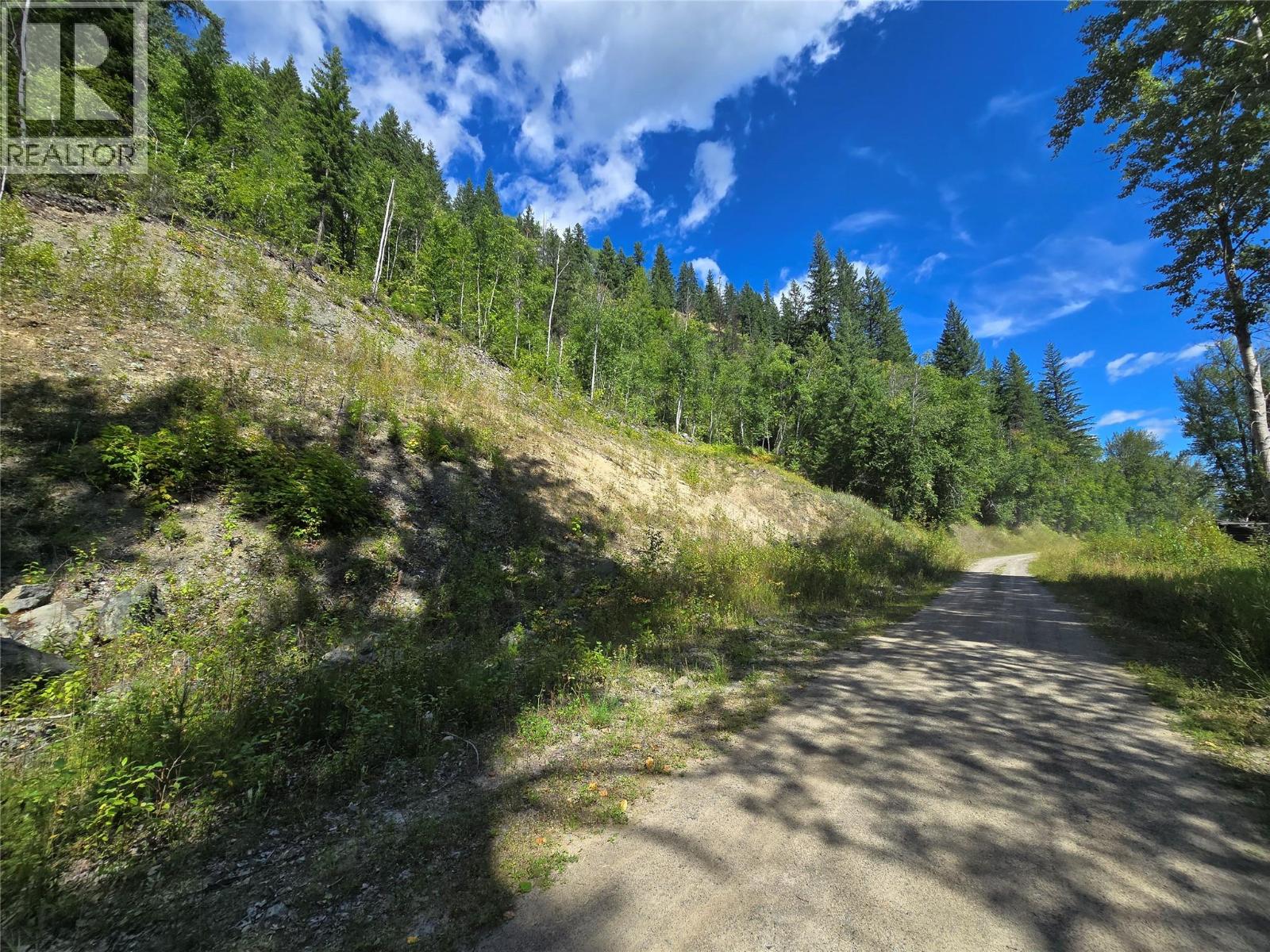 3418 Roundtop Rd, Clearwater, BC V0E 2C0