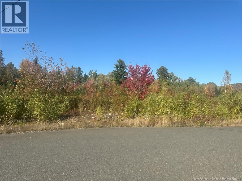 4 Crain Court #10, Bulls Creek, NB E7N 0B1