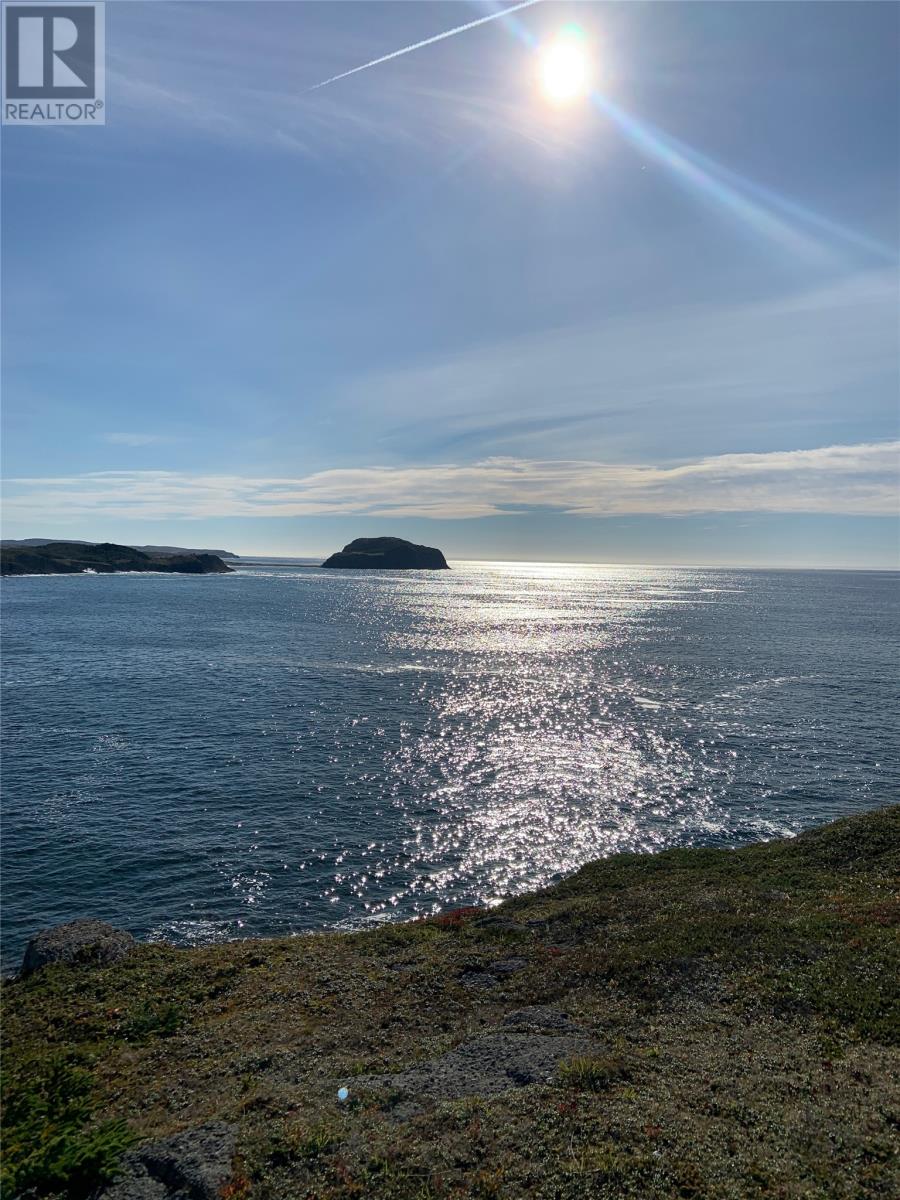 0 Baileys Head Rd, Port Rexton, NL A0C 2H0