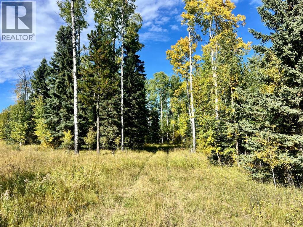 5 Ridgeland Rd, Rural Clearwater County, AB T4T 2A4