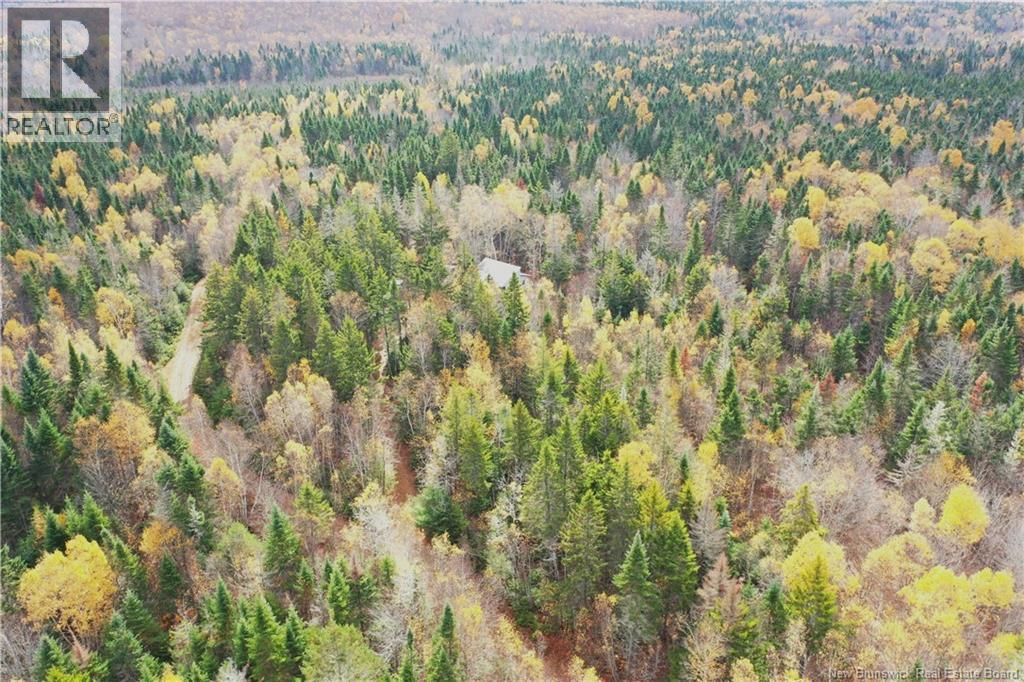 Lot Ravine Road, Midland, NB E5T 3L8