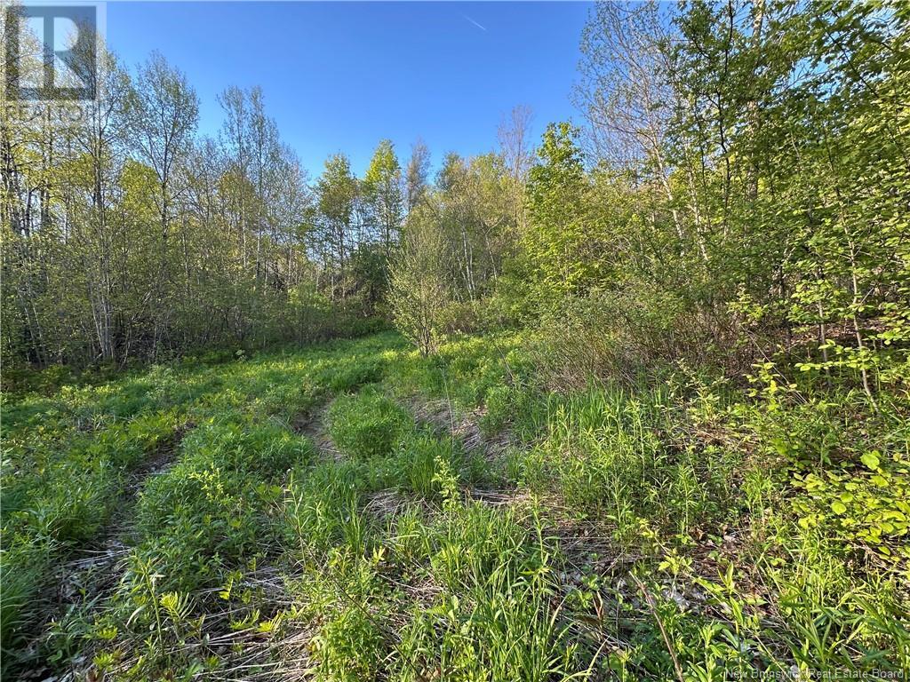 Highfield Road, Pearsonville, NB E5P 1T2