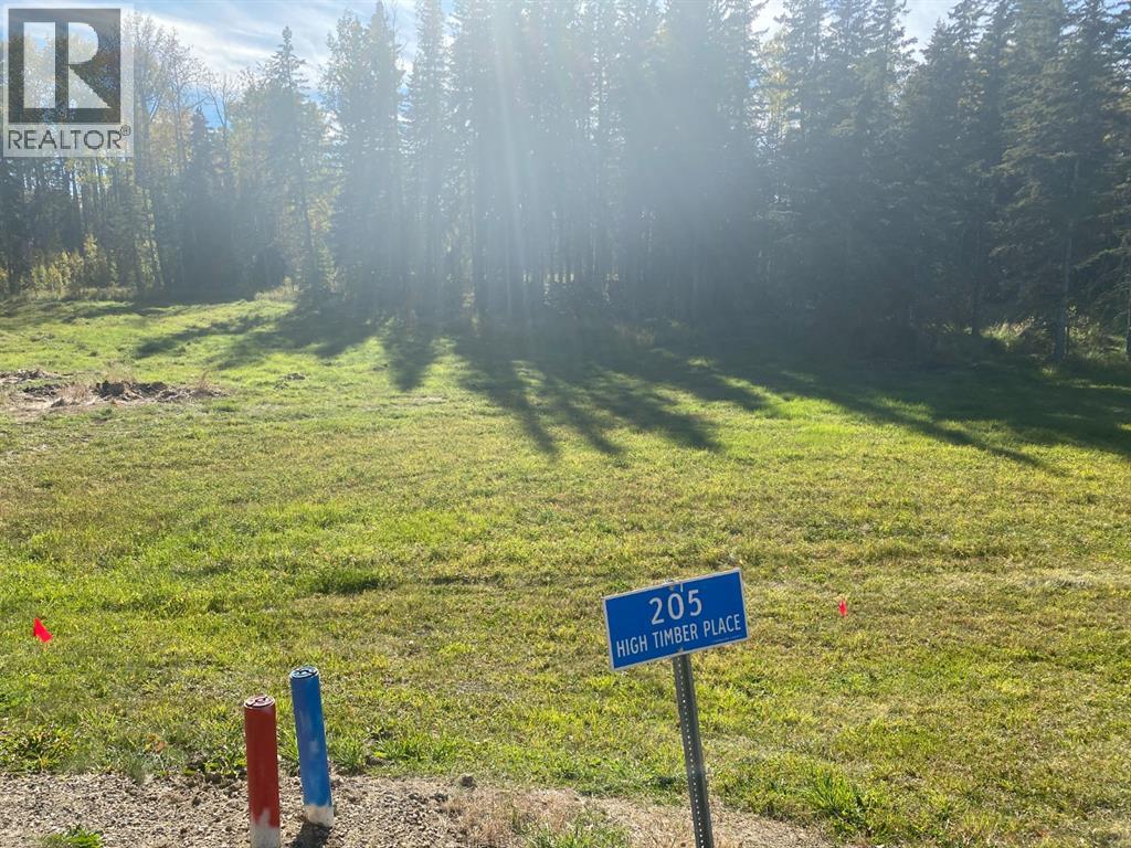 205 High Timber Pl, Rural Clearwater County, AB T4T 1A7