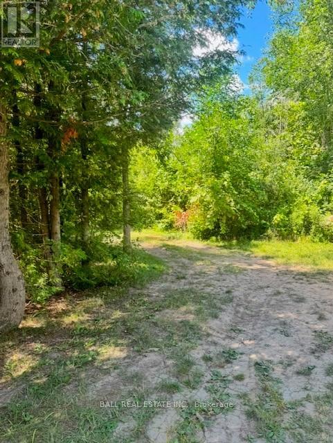 19 Carlton Cres, Kawartha Lakes, ON K0L 2W0
