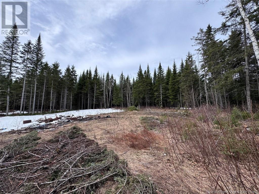 Lot 36 Road, Saint-quentin, NB E8A 2M5