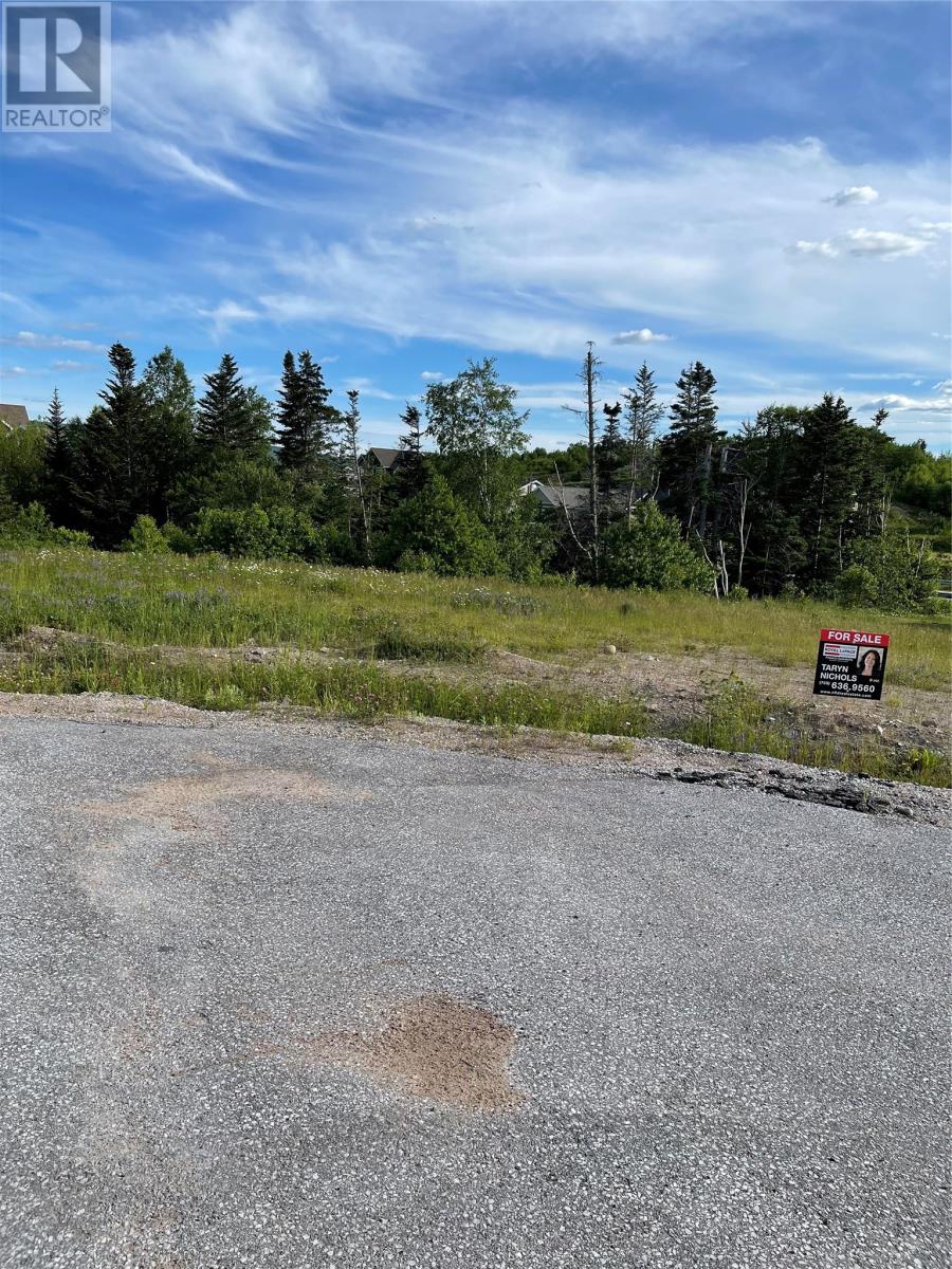 8 Jacks Pl #a, Deer Lake, NL A8A 0B6