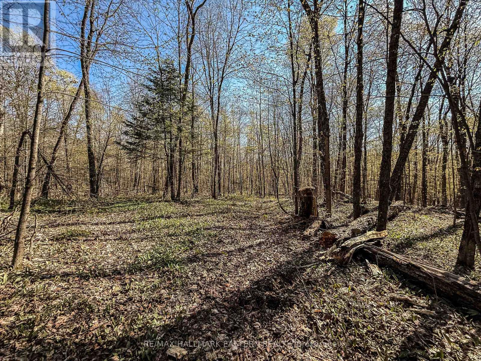 2494 Hadlington Rd, Highlands East Monmouth, ON K0L 3K0