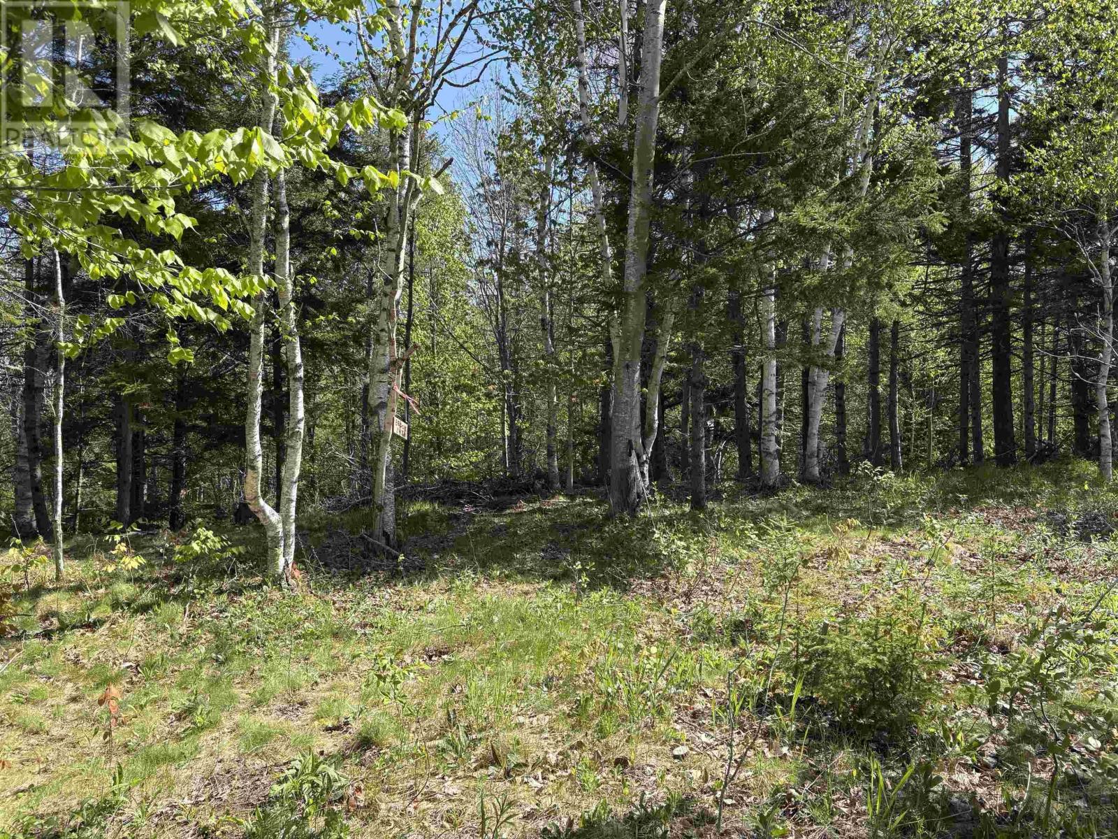Lot 2 4+- Acres Oliver Road, Hazel Glen, NS B0K 2A0