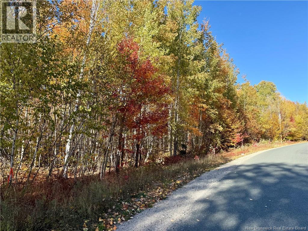 Lot 96-1 Hilltop Road, Hilltop, NB E9E 1R9