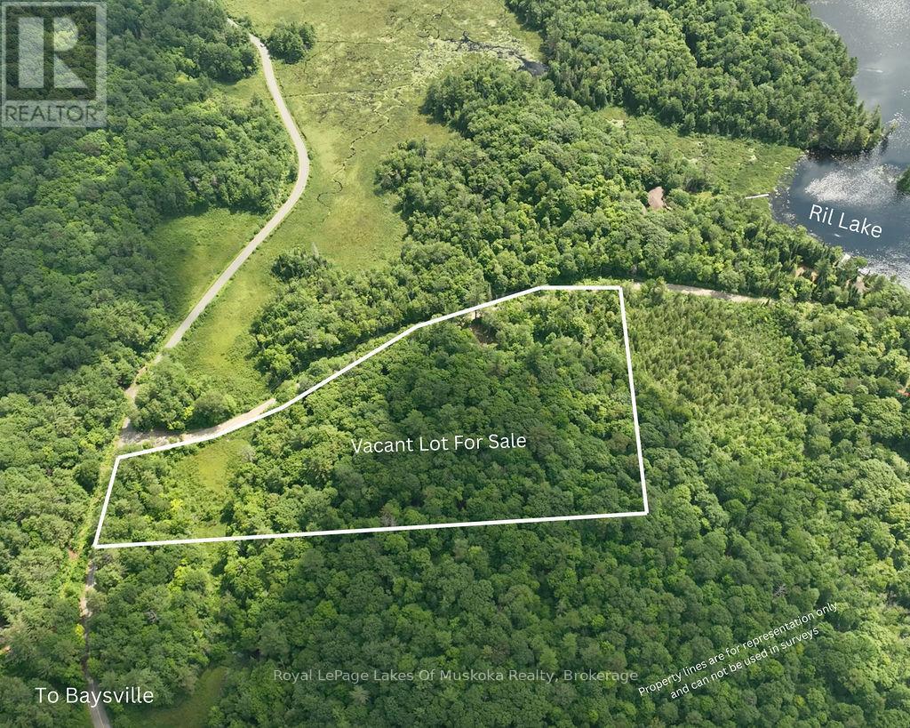 0000 Ril Lake Rd, Lake Of Bays Ridout, ON P0B 1A0