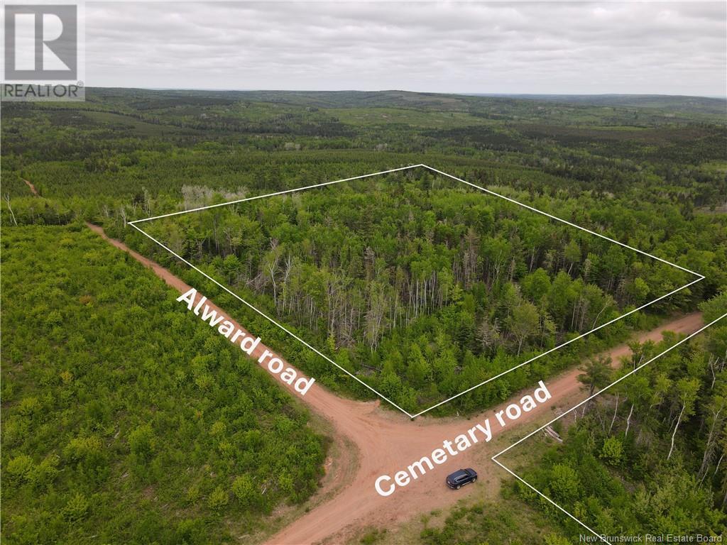 Lot Cemetery Road, Whites Mountain, NB E4G 2M4