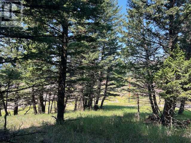 24 Avenue Unit 8717, Coleman, AB T0K 0M0