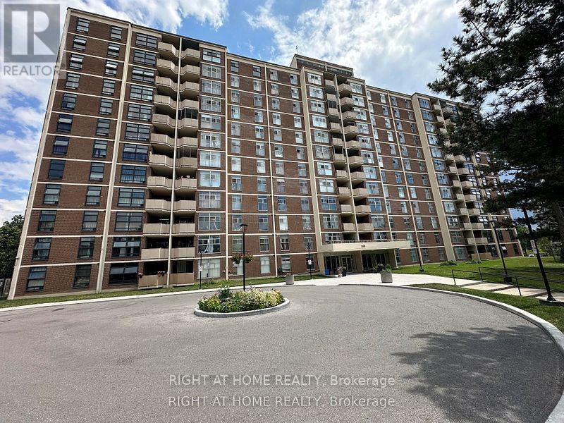 211 335 Driftwood Ave, Toronto Black Creek, ON M3N 2P3
