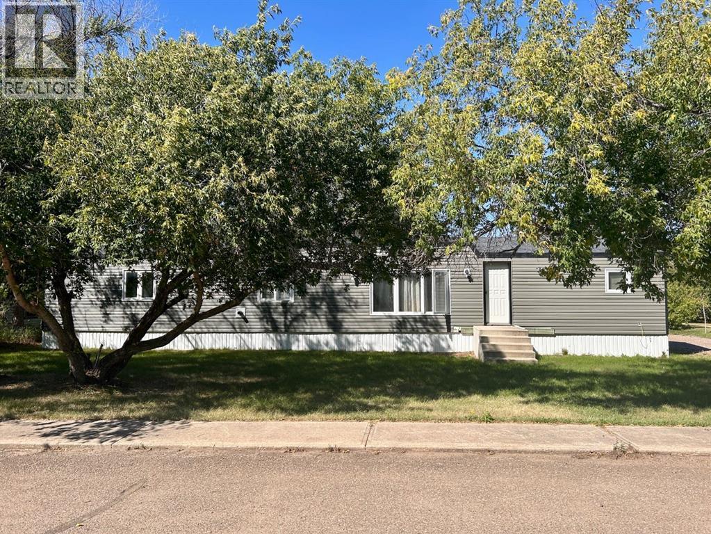 36 Selkirk Ave, Hughenden, AB T0B 2E0