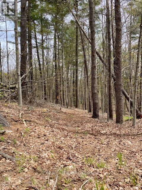 10914 County Road 38 Rd, Central Frontenac, ON K0H 2K0