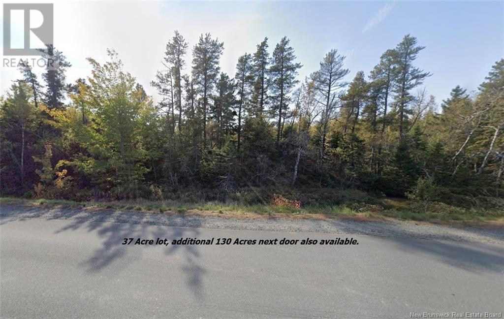 Lot Rte 117 Hardwicke, Hardwicke, NB E9A 1J9
