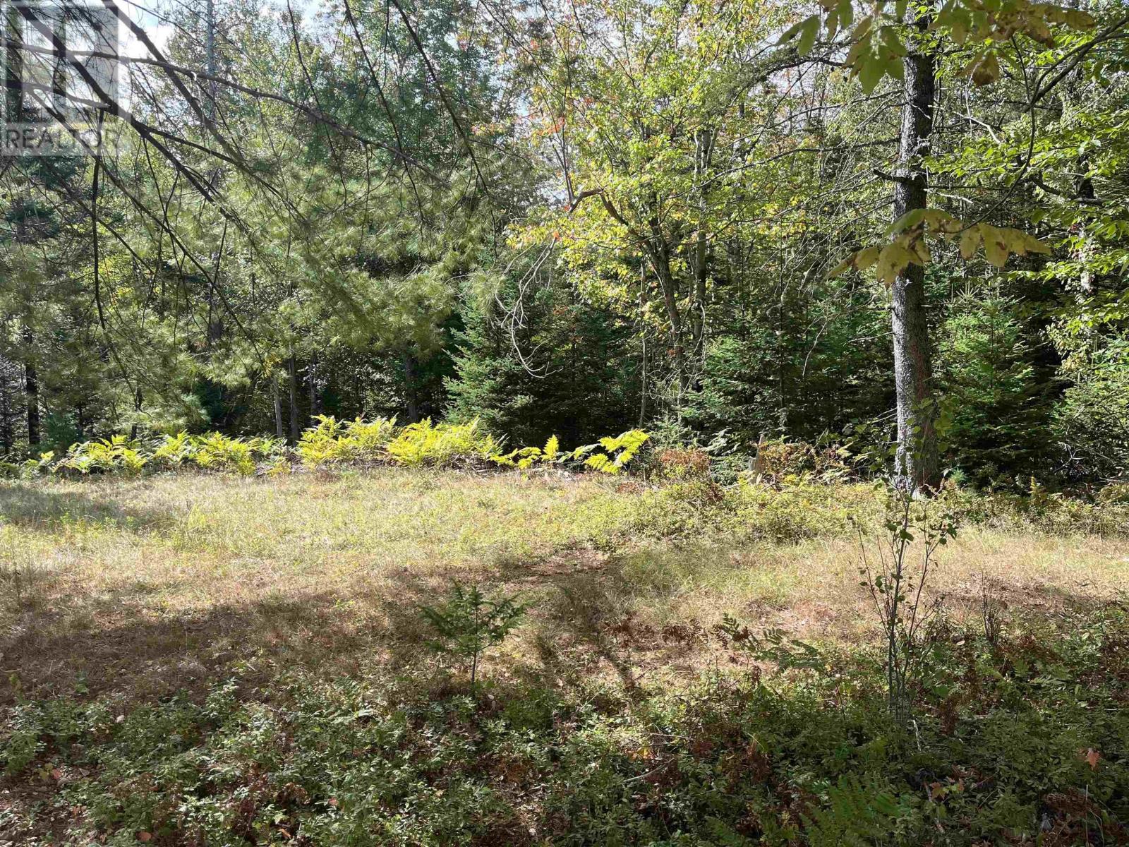 Block A Highway 325, West Clifford, NS B4V 8J2