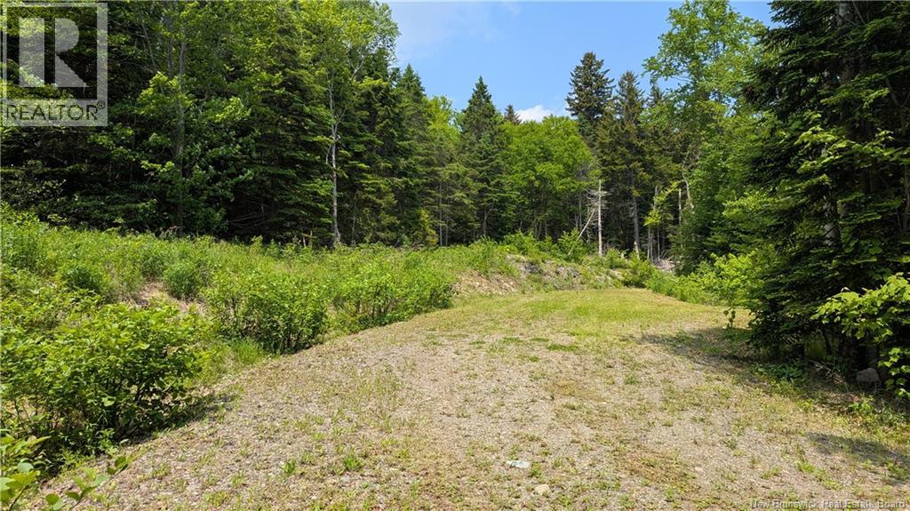 15 Foley Ln, Summerville, NB E5S 1B7