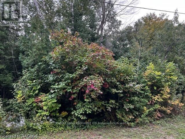 5 Shore Rd, Saugeen Shores, ON N0H 2L0