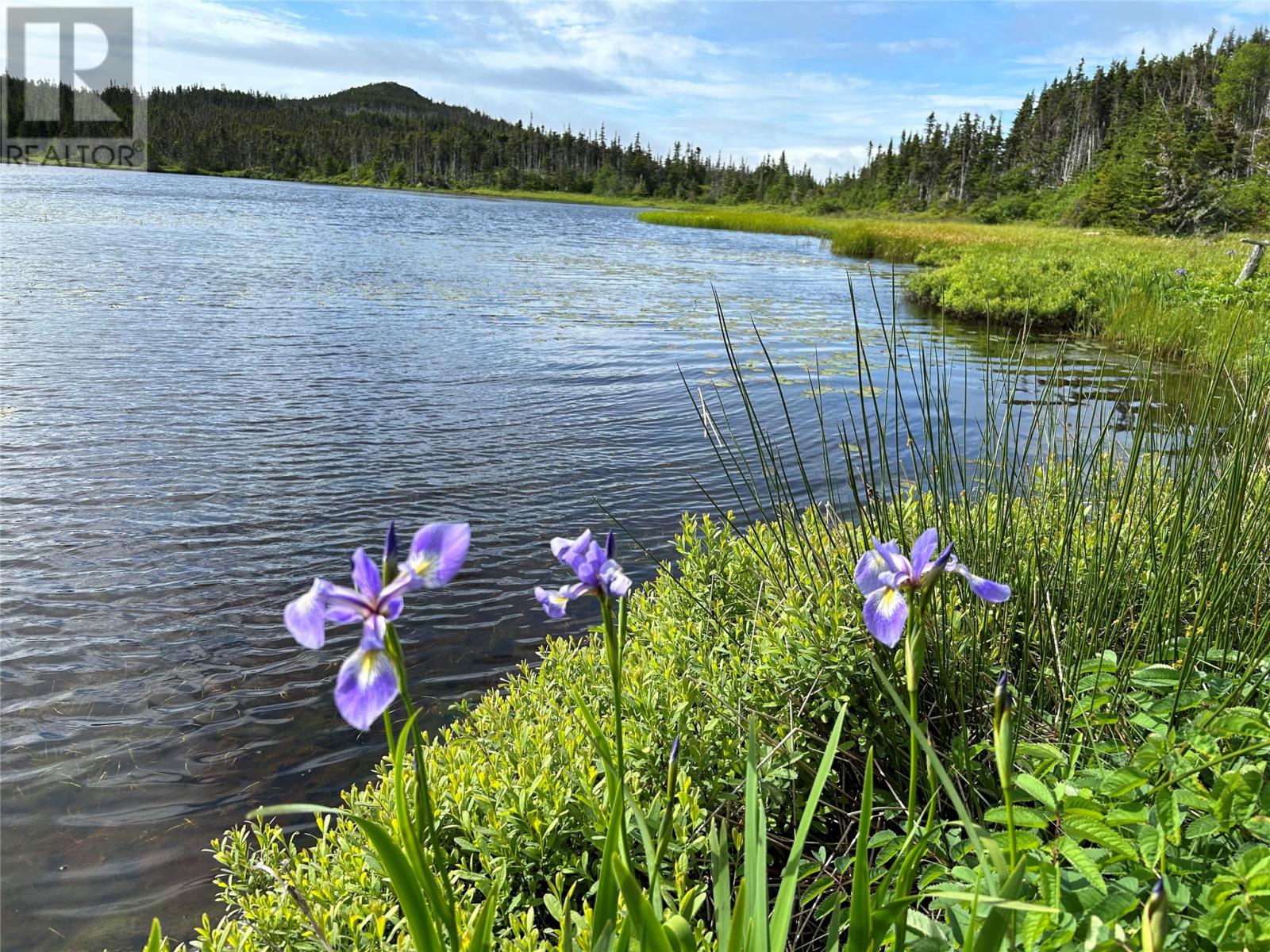 0 Farm Pond Rd, Port Rexton, NL A0C 0B0