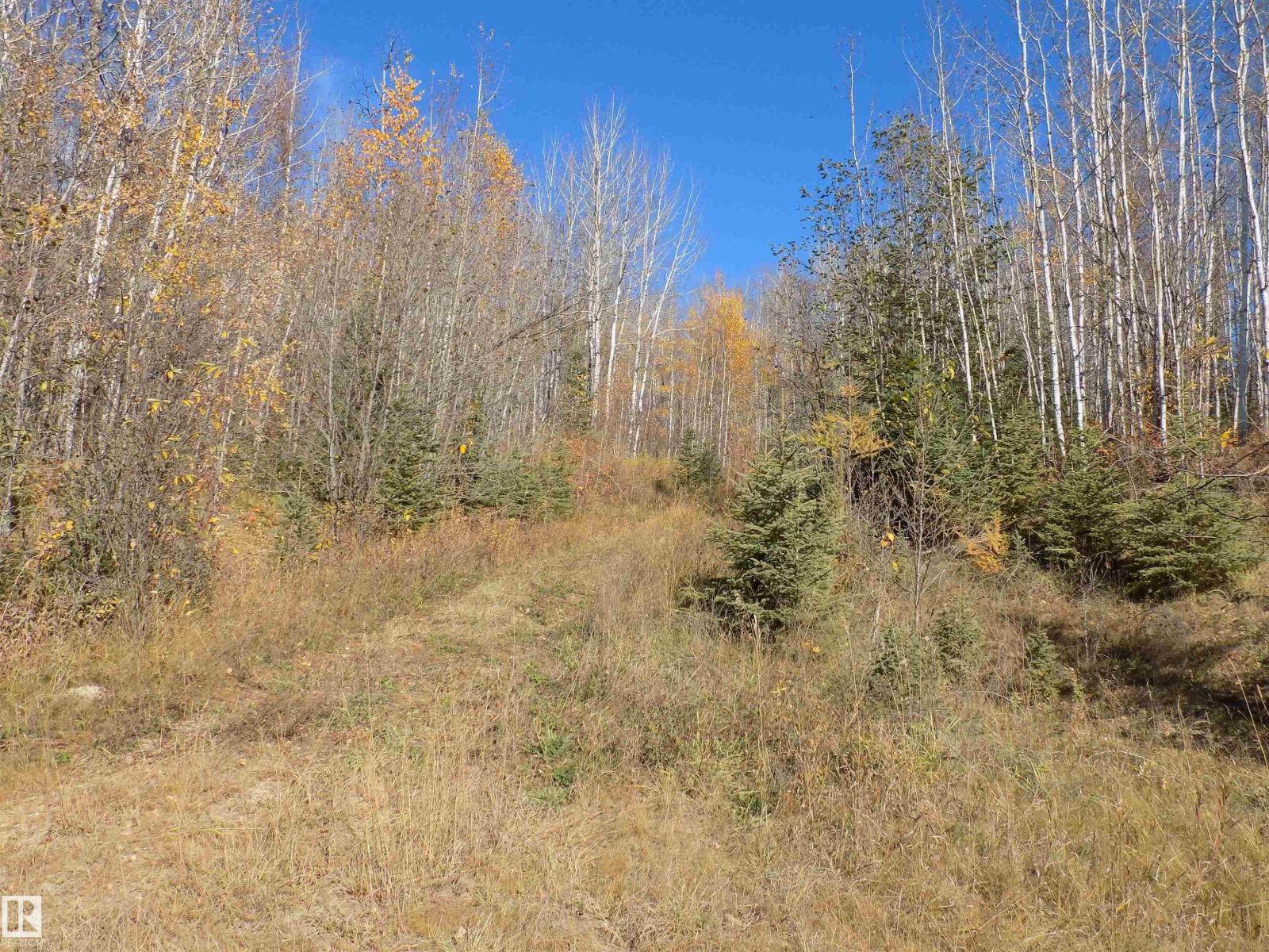 Twp 463a Rd, Rural Wetaskiwin County, AB T0C 2V0