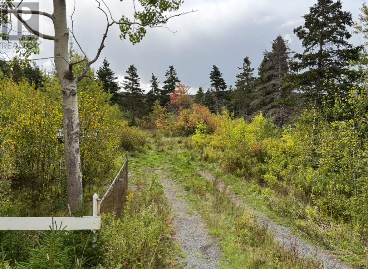 48-50 East Hwy, Victoria, NL A0A 3B0