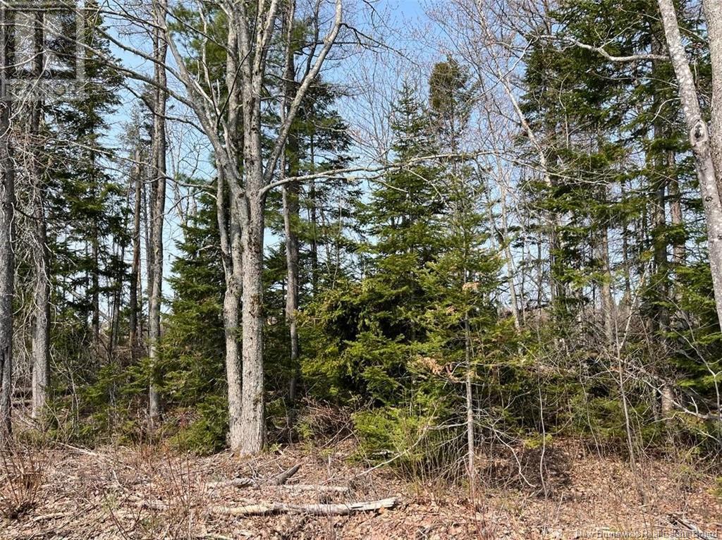 Beaverbrook Road, Miramichi, NB E1V 0H9