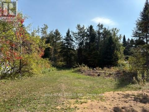 0 The Ave, Kawartha Lakes Kinmount, ON K0M 2A0