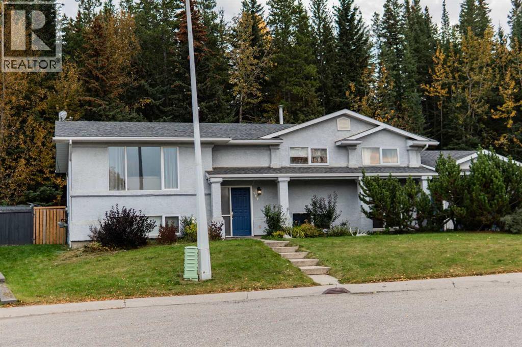 127 Sitar Cres, Hinton, AB T7V 1S6
